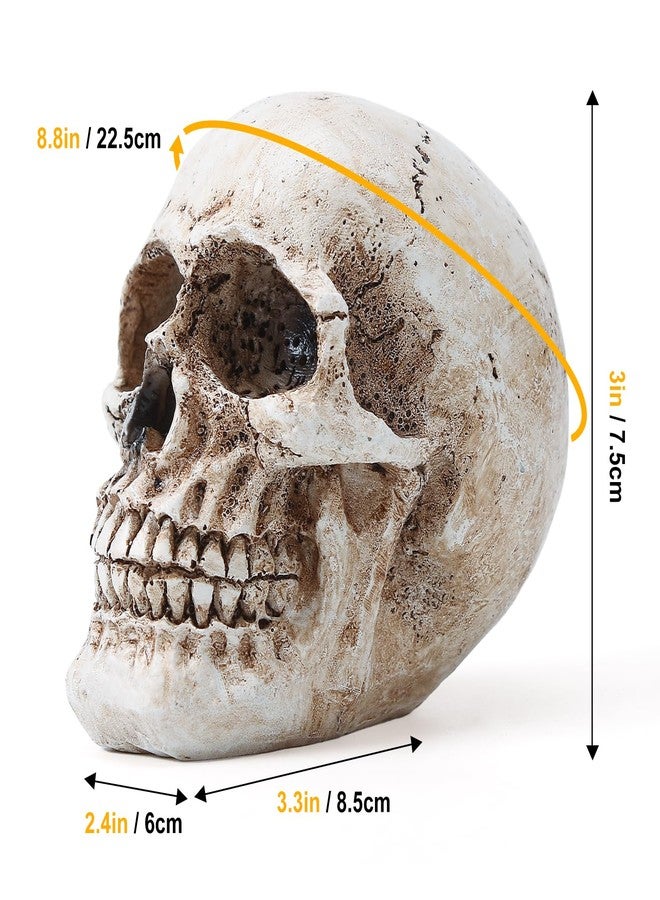 SHUS LIVE Skull Decor, Resin Realistic Skeleton Head Statue for Halloween, Fake Human Bone Skull Model for Halloween Decoration, Home, Party, Table, Bookshelf - Image 2